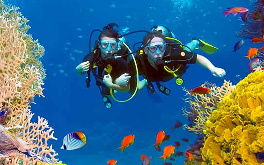 Seguro de viaje para buceo